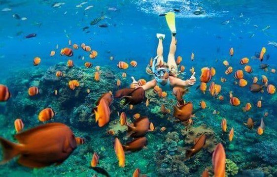 woman snorkelling underwater with a shoal of fish in the maldives